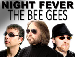 Night Fever